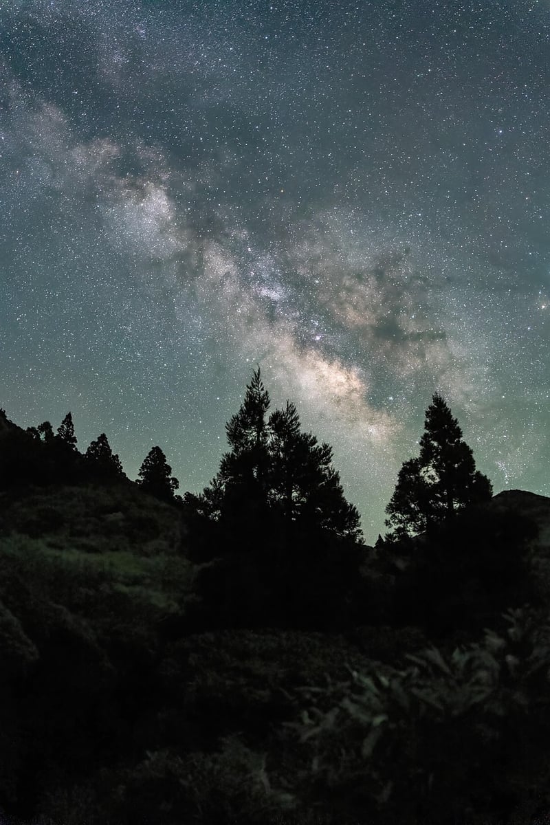 Magical Night Sky